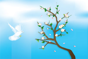 Tree with blossoms and white dove