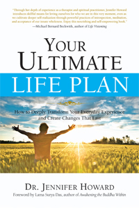 YOUR ULTIMATE LIFE PLAN: How to Deeply Transform Your Everyday Experience and Create Changes That Last