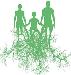 Three humans with roots growing out of their feet