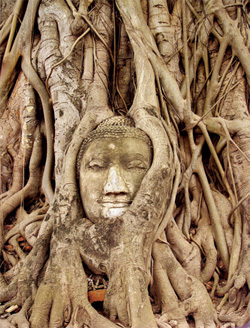 face entwined with vines