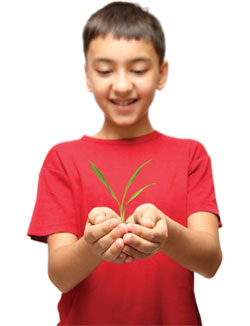 boy holding plant