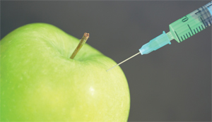 apple being injected by syringe