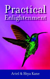 Practical Enlightenment by Ariel and Shya Kane