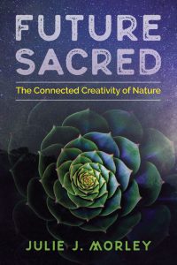 Future Sacred The Connected Creativity of Nature by Julie J. Morley
