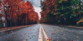 road with autumn leaves