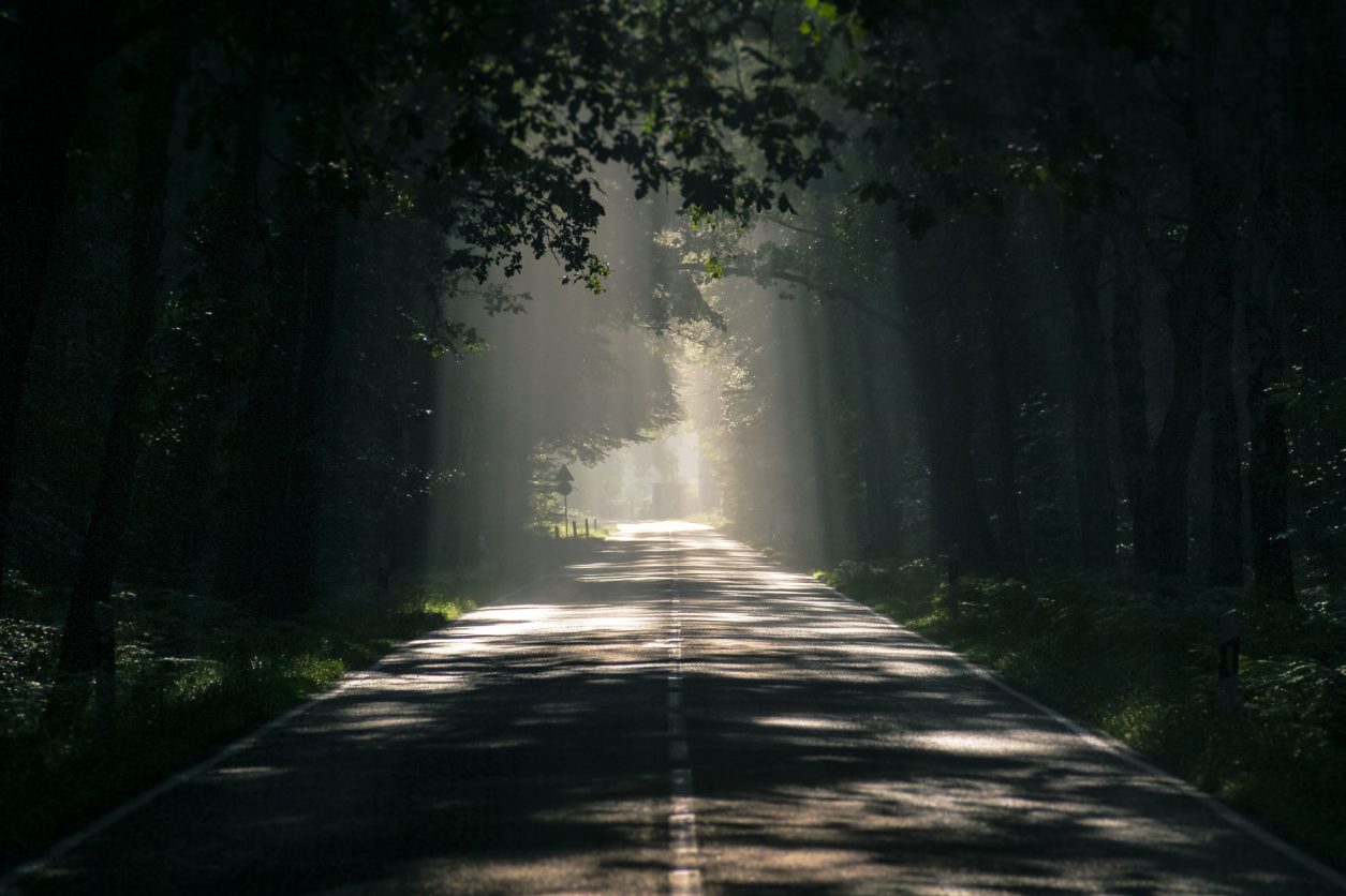 Light shining through trees on dark road