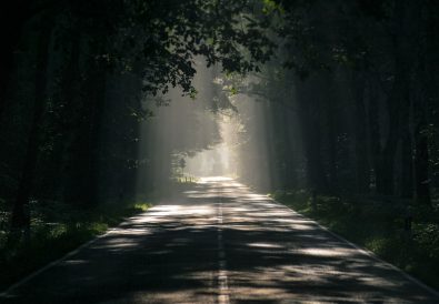 Light shining through trees on dark road