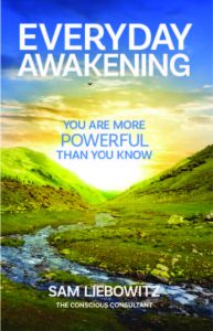 EVERYDAY AWAKENING You Are More Powerful Than You Know by Sam Liebowitz