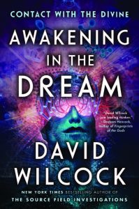 AWAKENING IN THE DREAM by David Wilcock